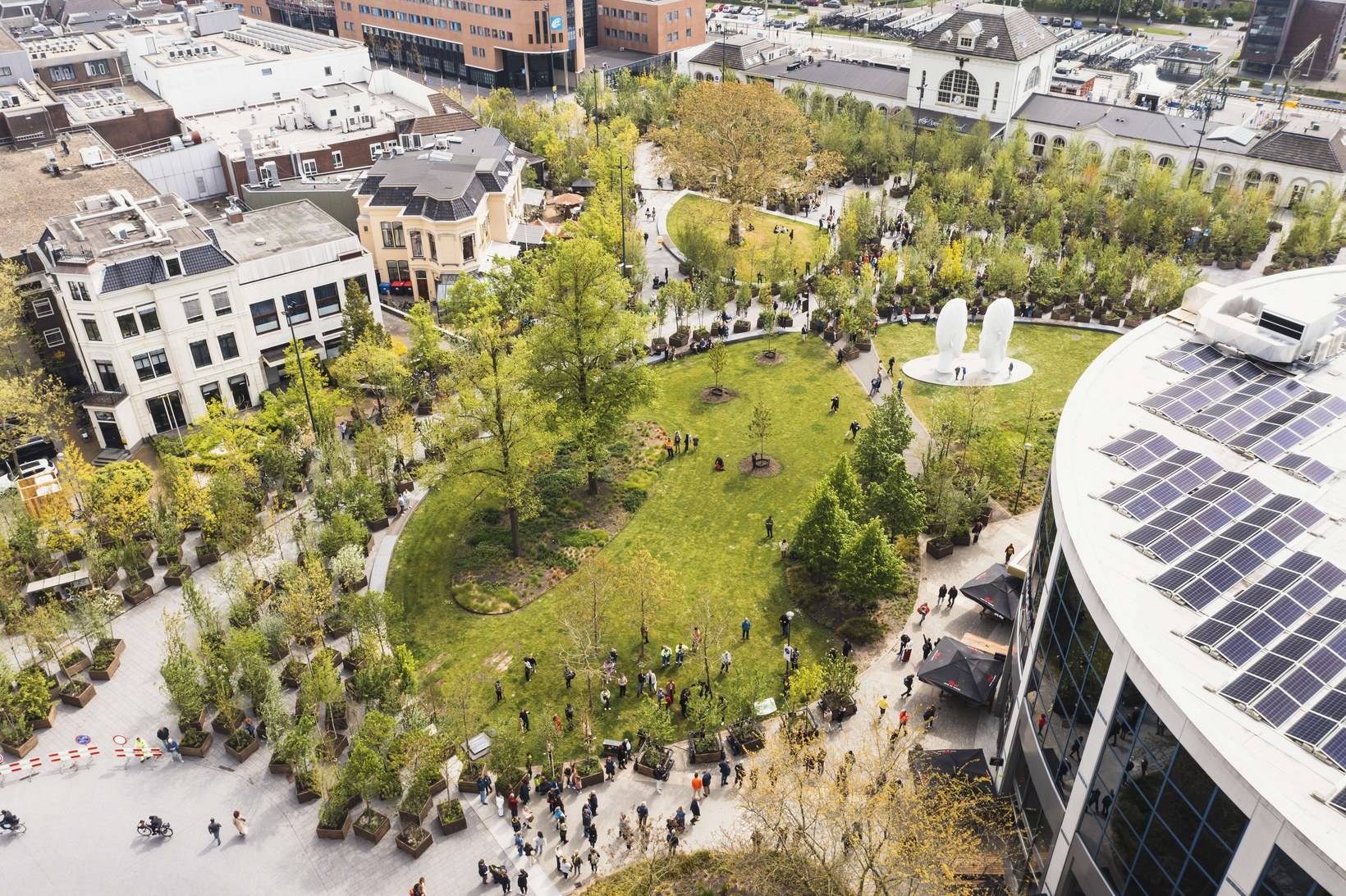 BOSK, a temporary forest of a thousand trees in a city square